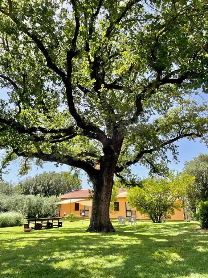 Agriturismo I Tre Fossi Magliano in Toscana Buitenkant foto