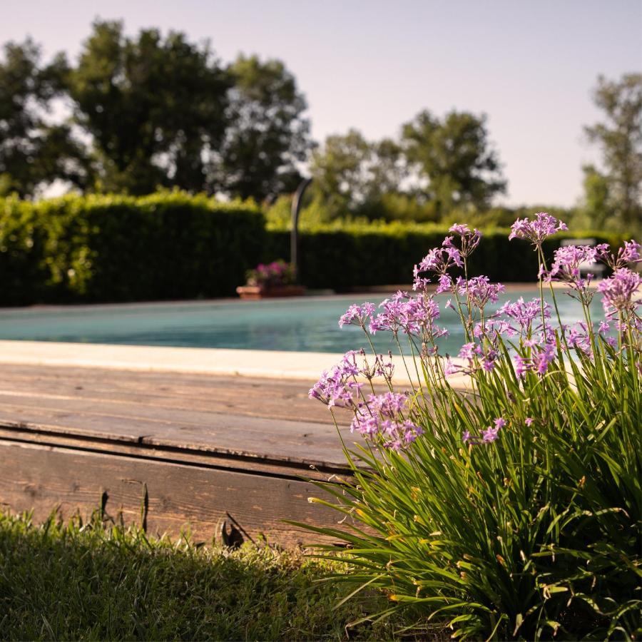 Agriturismo I Tre Fossi Magliano in Toscana Buitenkant foto